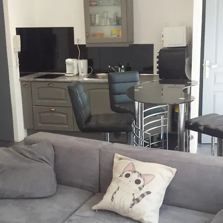 Studio Centre Ville St Raphael דירה